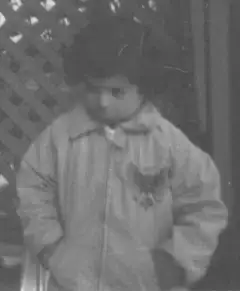 hasS2 domain and range