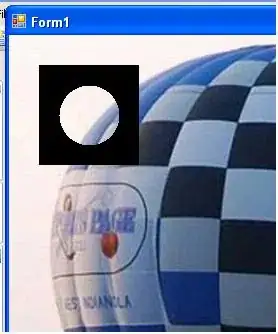 Screenshot of the error