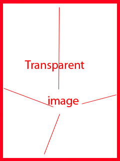 Screenshot with application properties from DCOM Config