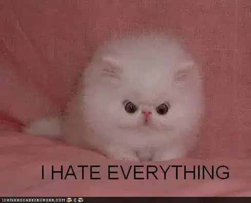 Strange Null Refference