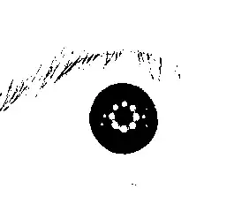 Could not build Objective-C module 'Firebase'
