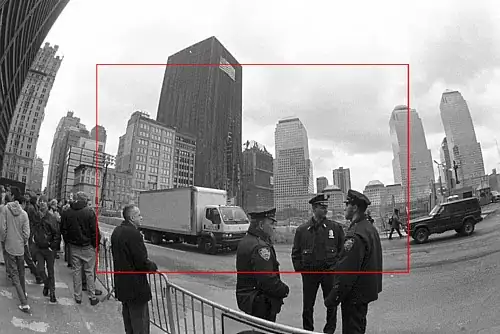 Contains what I want and what I got