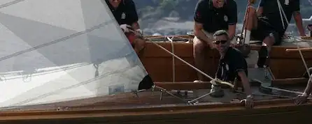 misunderstand-results