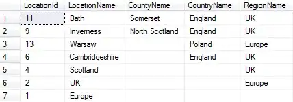 the output of vs code