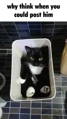 Snapshot from AWS console