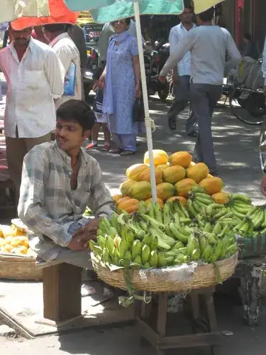 sectorchart with line and gray background