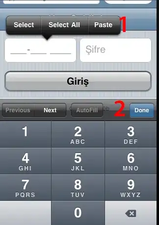 serving on port 5500 and the debugger doing its thing on port 9222