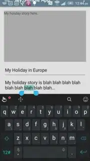 Missing action bar and the copy/paste bar