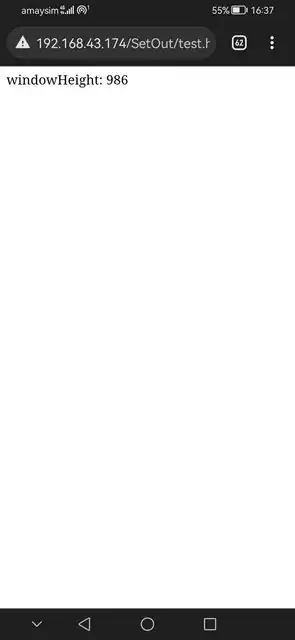 Screenshot of appearance on first load