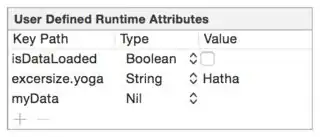 The image of runtime attributes
