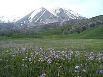 Mt. Kösedağ, Eleşkirt