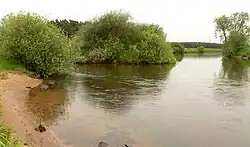 Mouth of the Örtze, from the left