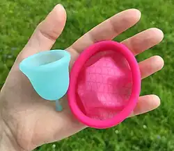 A menstrual disc and mentrual bell are held next to each other. The disc is larger in diameter and flatter. It has a similarly thick rim and thinner material in the basin.