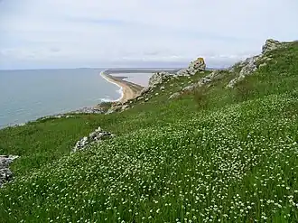 Opuksky Nature Reserve