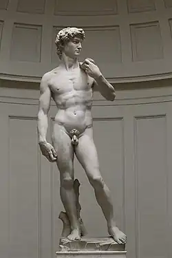 David; by Michelangelo; 1501–1504; marble; 517&nbsp;cm × 199&nbsp;cm; Galleria dell'Accademia (Florence)