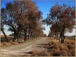 Hesar Goli Village entrance, Varamin County, Tehran.