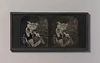 Still-life with Cockatoo, Ornamental Ball, Lace, Statuette