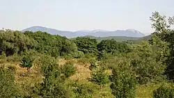 Landscape in Simferpol District