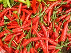 Siling tingala, an F1 hybrid commonly mislabeled as "siling&nbsp;labuyo" in Luzon markets