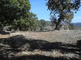 Hasanlar countryside, Dursunbey