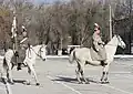 Ceremonial cavalry from the brigade.