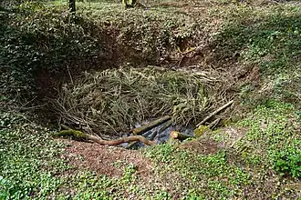 Remains of shaft no. 1