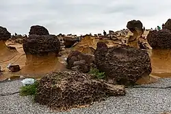 Light and dark brown rock formations in hoodoo shape