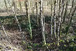 The entrance to the blocked chute.