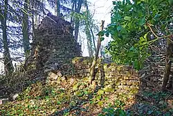 Ruins of the recipe building.