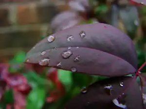 16,777,216 colors 98 KB