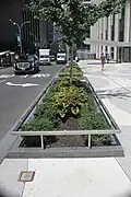 A planting bed next to the sidewalk of the plaza outside 1271 Avenue of the Americas