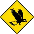 (MR-WDO-36) Cockatoos (used in Western Australia)