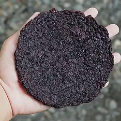 A disc of dried gamet from the Northern Luzon, Philippines