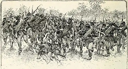 drawing showing Union soldiers charging through Miller's Cornfield