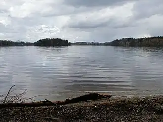 A lake surrounded by trees