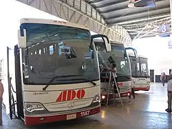 Marcopolo buses in ADO livery at Valladolid, Mexico