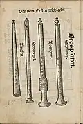 Instruments from Martin Agricola's book "Musica instrumentalis deudsch", published 1529. From left: straight cornett, three-hole pipe, bombard, shawm. The three-hole pipe illustrated isn't a reedpipe but has a duct (making it a type of recorder.