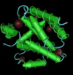 3D NIH Image of typical structure of Alcelaphine herpesvirus 2