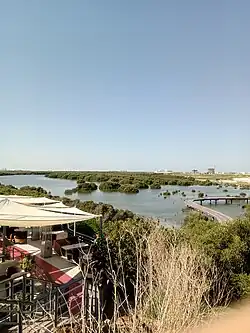 Mangroves of Al Zorah, Ajman