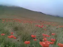 Landscape near the village of Alvars