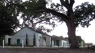 Restored Alviso Adobe in Alviso Adobe Community Park, with a large old Valley oak (Quercus lobata) tree