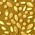 Yellow image of sparsed grains