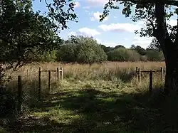Ash Moor nature reserve