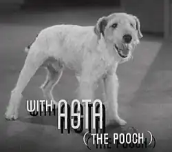 A black and white photograph of a wire fox terrier barking. White text reading "With Asta (The Pooch)" is overlayed on the image.