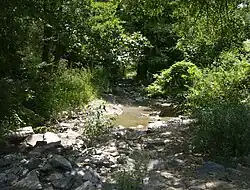 The river in Bulgaria