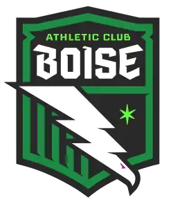 An artistic depiction of a bird as a white lightning bolt, imprinted on a dark and light green shield.