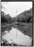 The Awatea moored in Henderson Creek, shortly after Henry Charles Swan's death.
