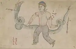 Ophiuchus in a manuscript copy of Azophi's Uranometry, 18th&nbsp;century copy of a manuscript prepared for Ulugh Beg in 1417 (note that as in all pre-modern star charts, the constellation is mirrored, with Serpens Caput on the left and Serpens Cauda on the right).