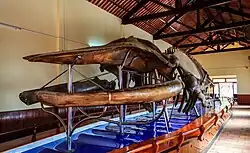 Vạn Thủy Tú temple, one of the Vietnamese Whale worship sites, hosts the largest whale skeleton in Vietnam.