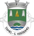 Coat of arms of Tamel (São Veríssimo)
